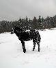 Пеночка